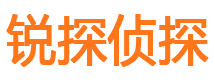 城厢侦探公司